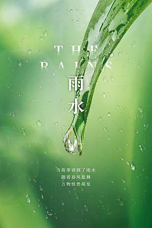 雨水节气宣传推广海报