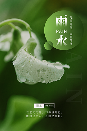 雨水节气宣传推广海报