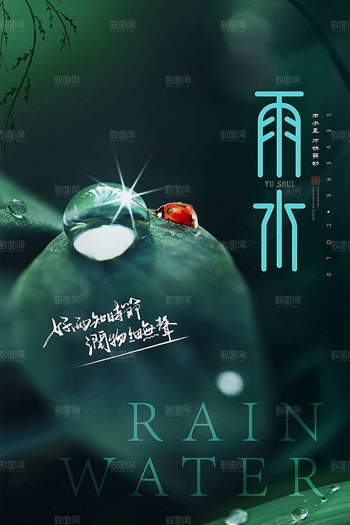 雨水节气宣传推广海报