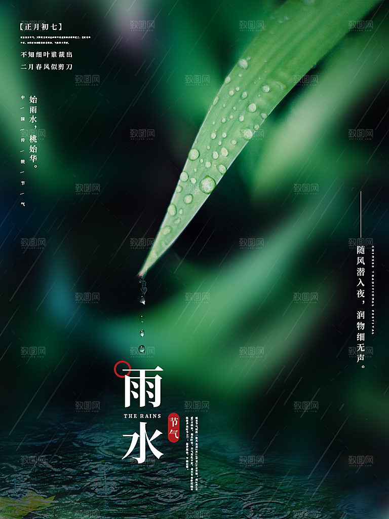 雨水节气宣传推广海报