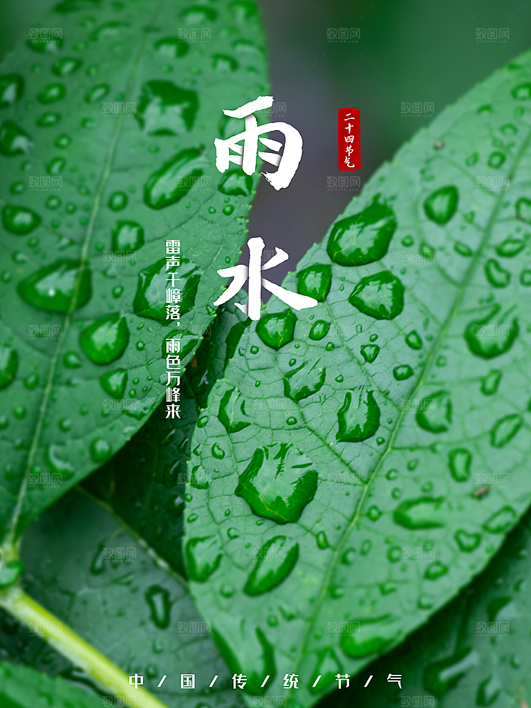 雨水节气宣传推广海报