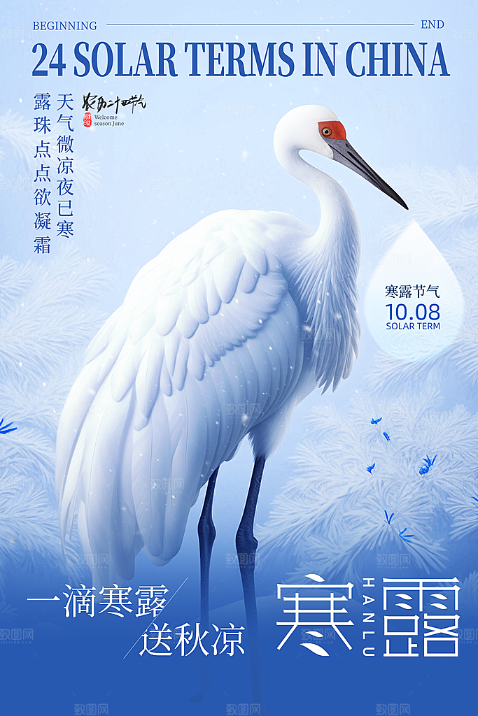 寒露节气平面海报
