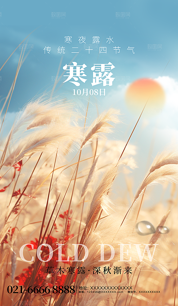 寒露节气平面海报
