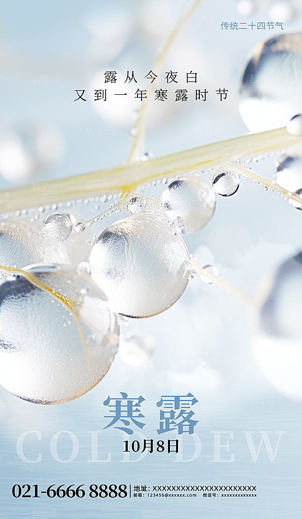 寒露节气平面海报
