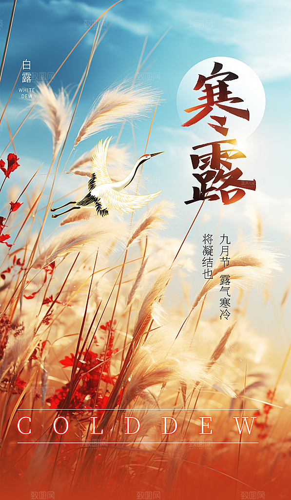 寒露节气平面海报