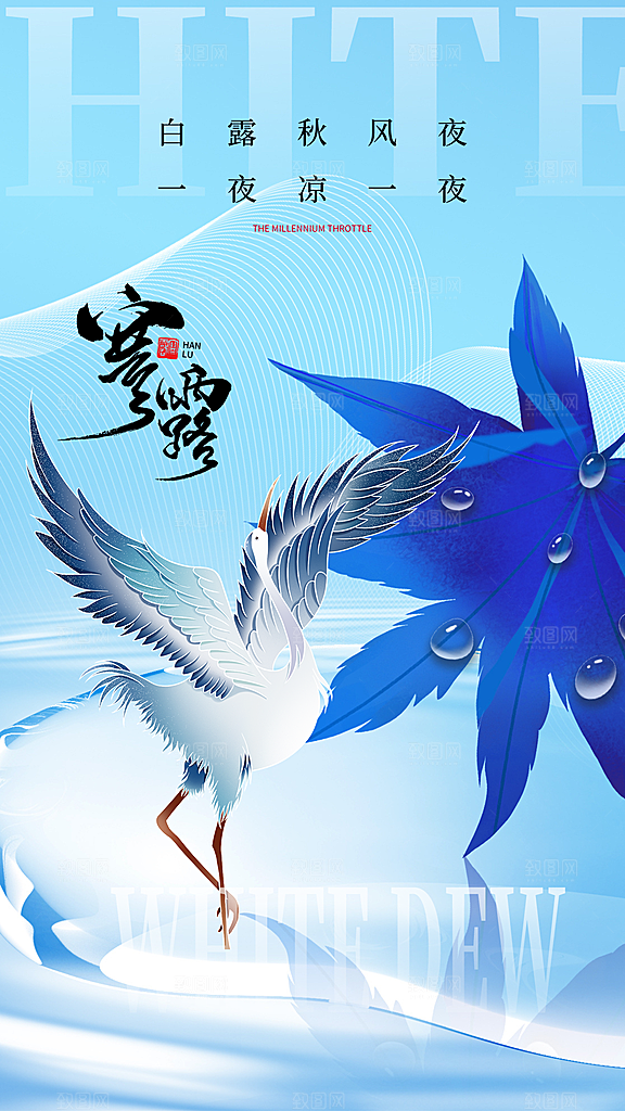寒露节气手机海报
