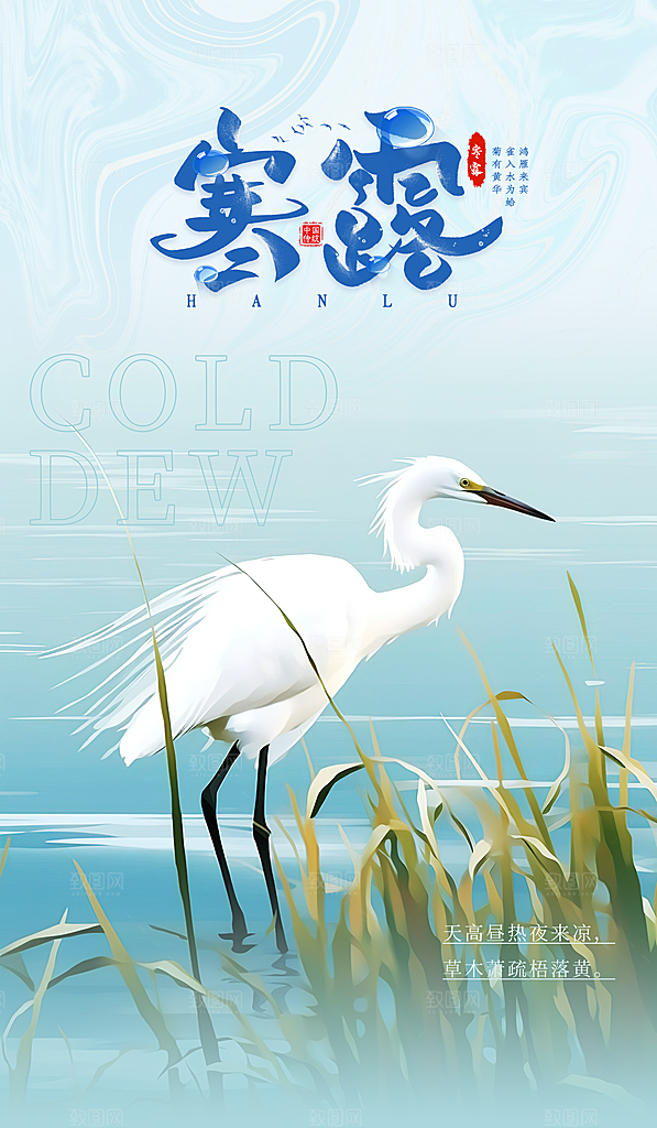 寒露节气手机海报