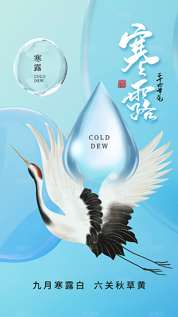 寒露节气手机海报