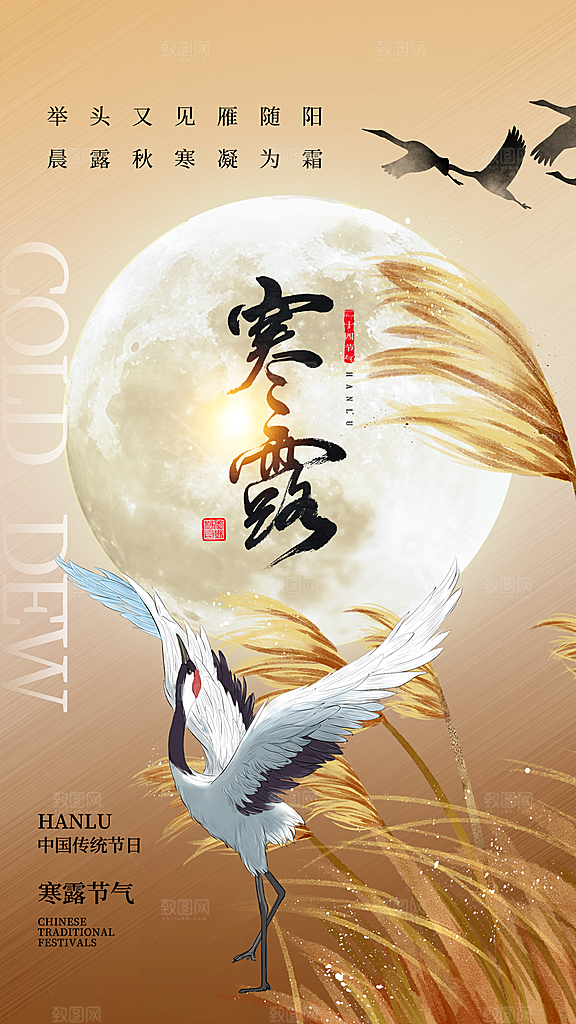 寒露节气手机海报