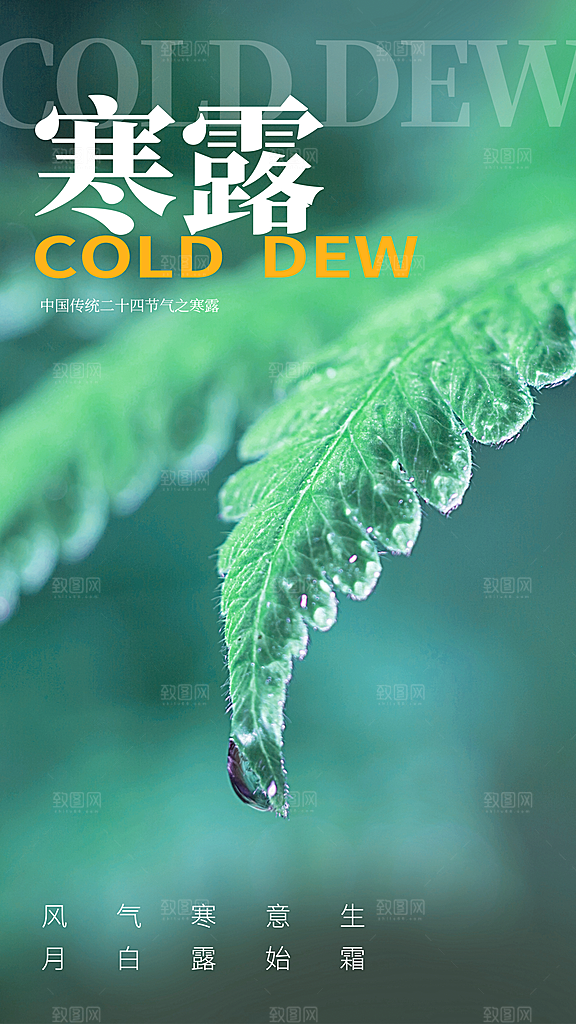 寒露节气手机海报