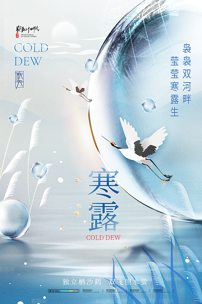 寒露节气平面海报