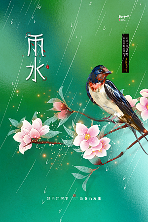 雨水节气宣传推广海报