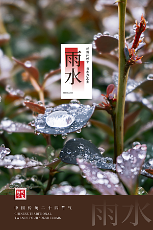 雨水节气宣传推广海报