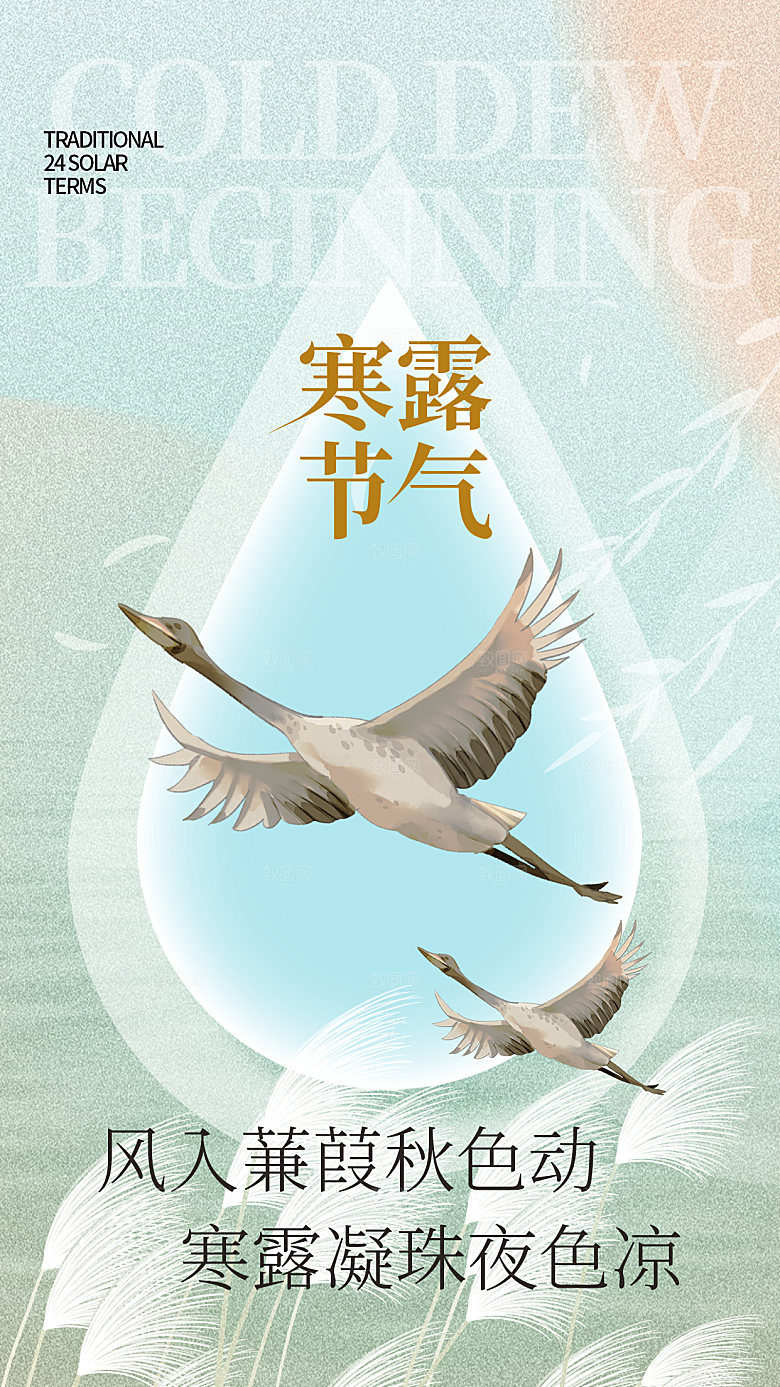寒露节气平面海报