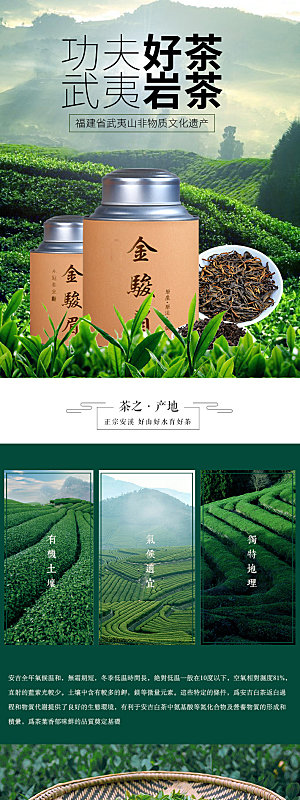 电商茶叶绿茶红茶详情页