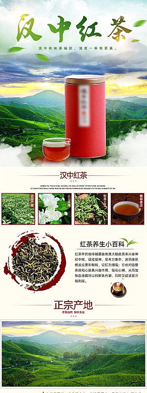 电商茶叶绿茶红茶详情页