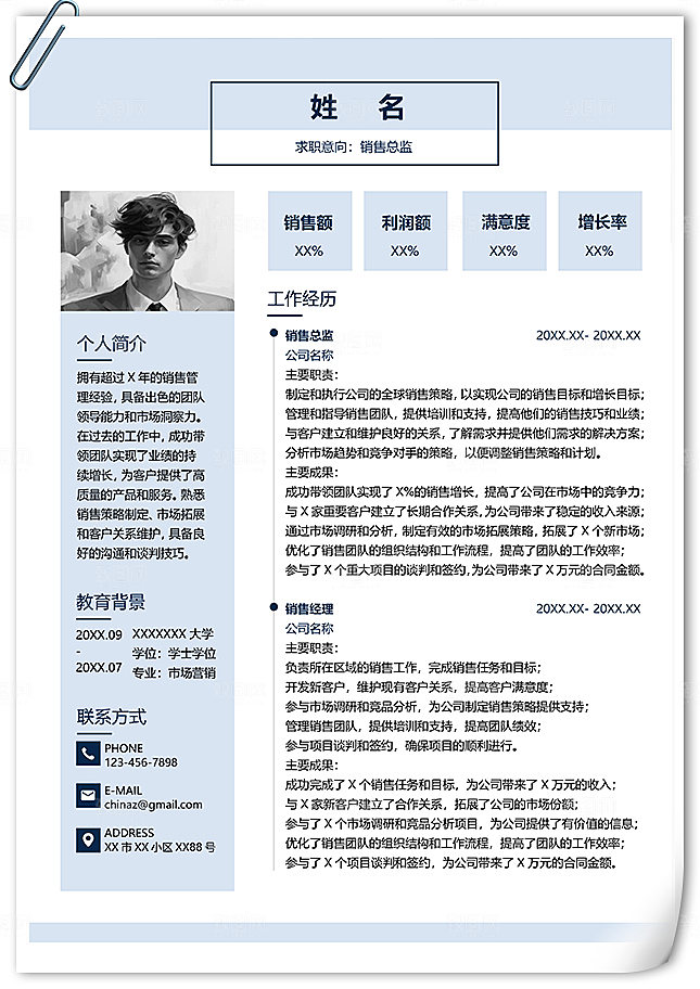 高端职位销售总监简历模板