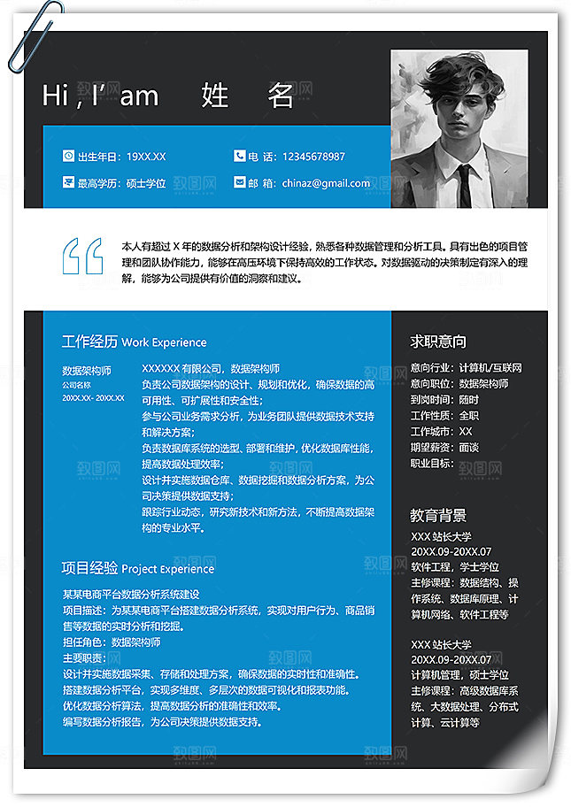 IT技术数据架构师个人简历范文