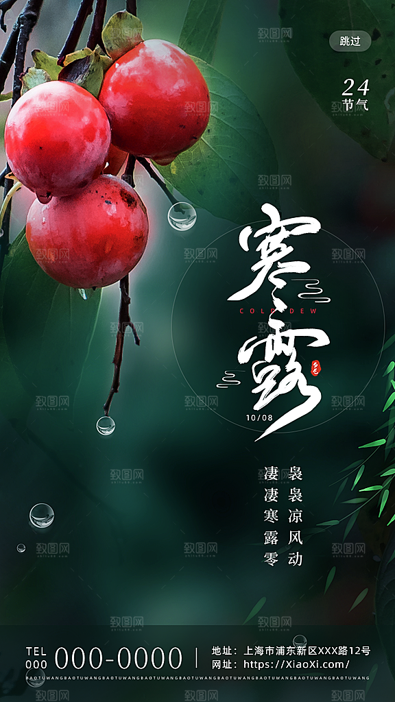 寒露节气手机海报