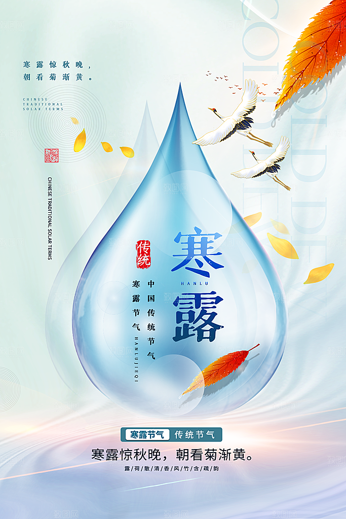 寒露节气平面海报