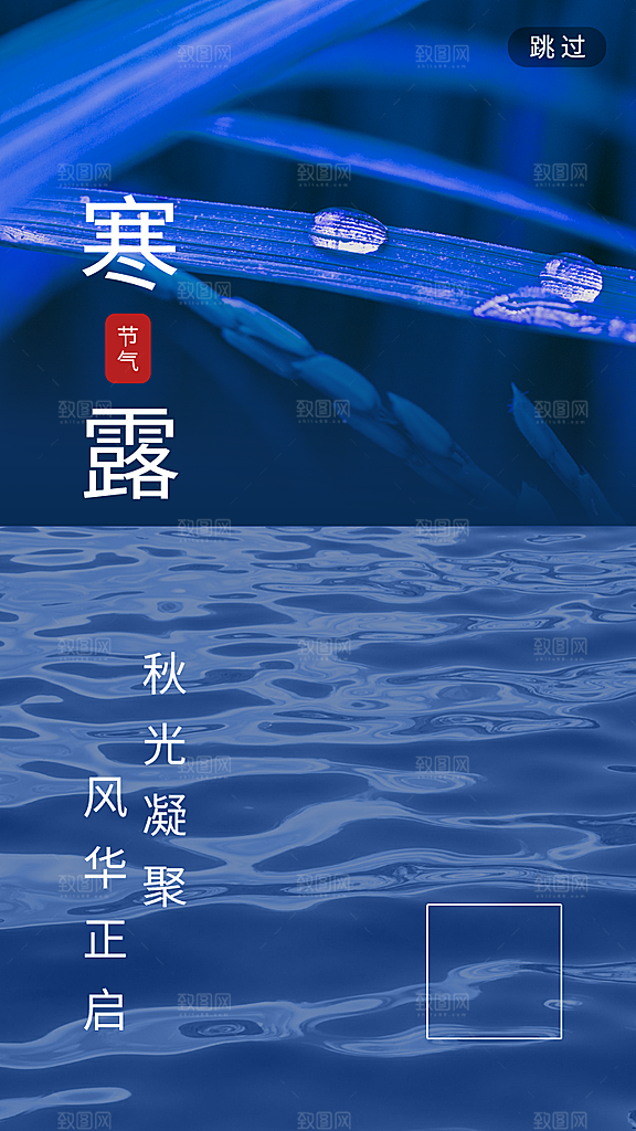 寒露节气手机海报