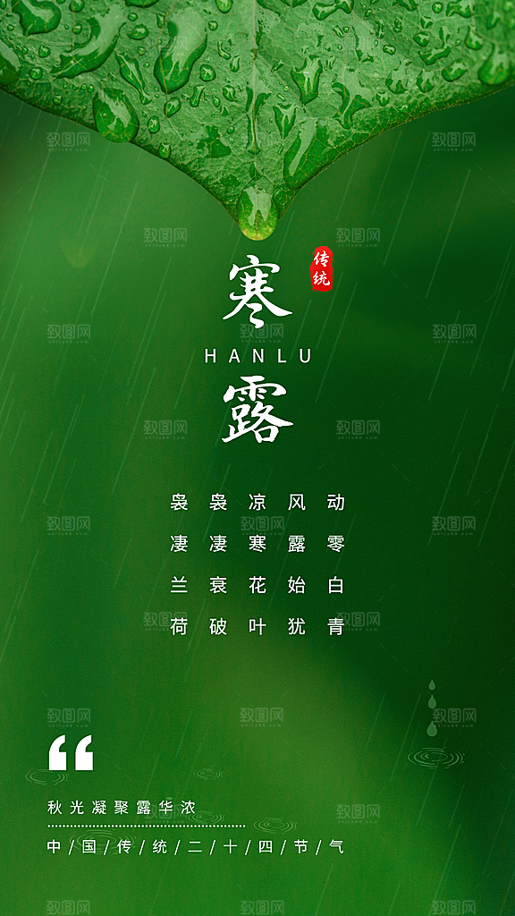 寒露节二十四节气平面海报
