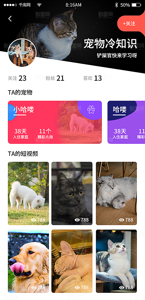 宠物商城app个人动态