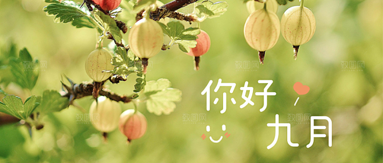 你好九月小清新公众号首图
