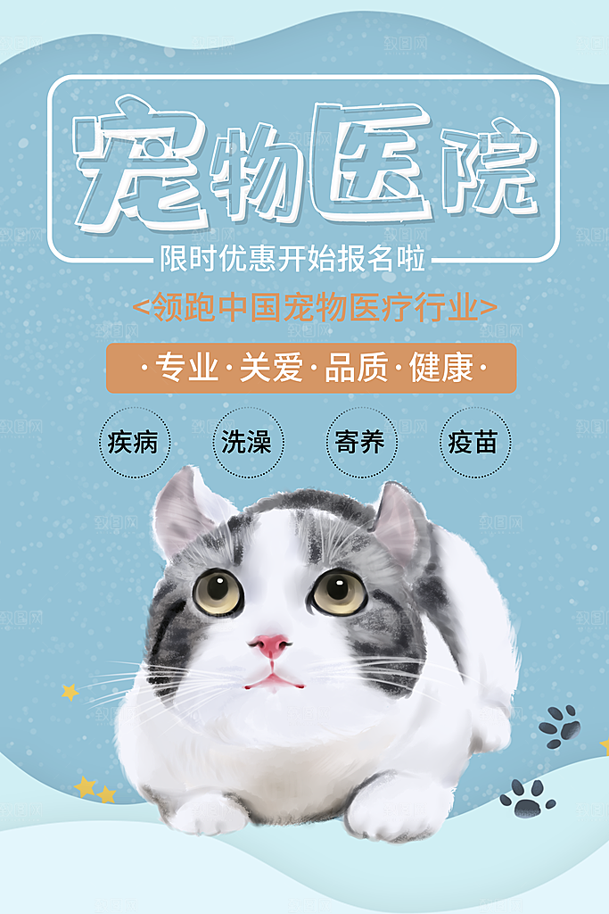 宠物公益宣传推广海报