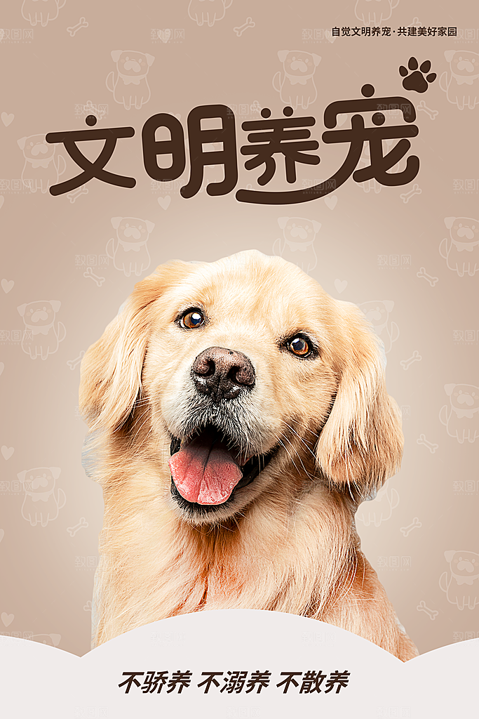 宠物公益宣传推广海报