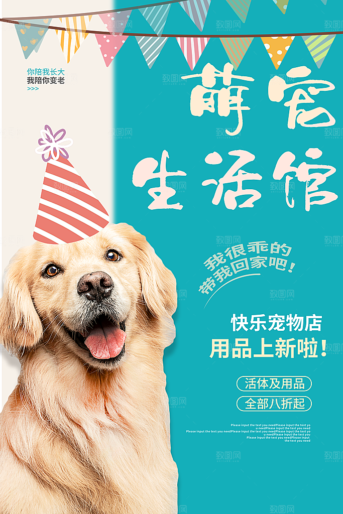 宠物公益宣传推广海报