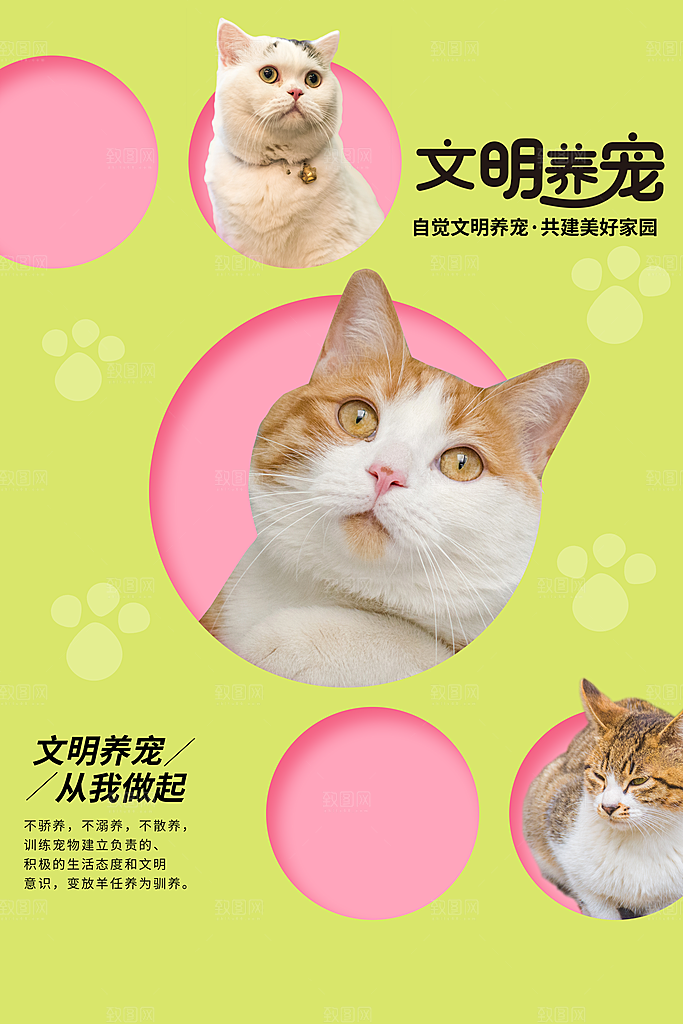 宠物公益宣传推广海报