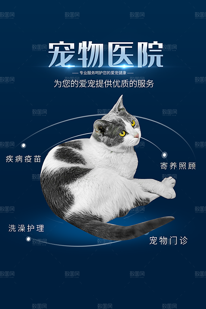 宠物公益宣传推广海报