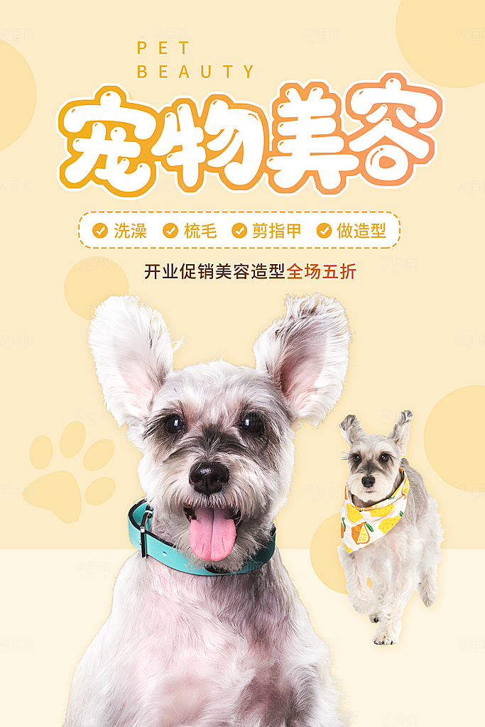 宠物公益宣传推广海报