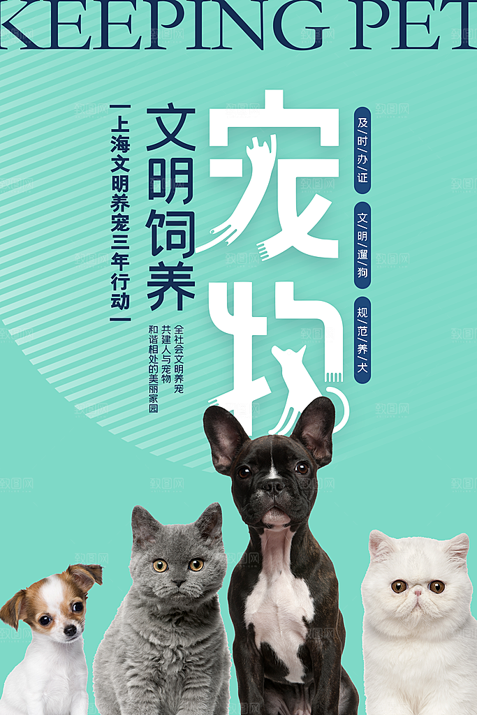 宠物公益宣传推广海报