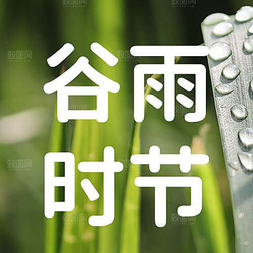绿色简约谷雨公众号次图