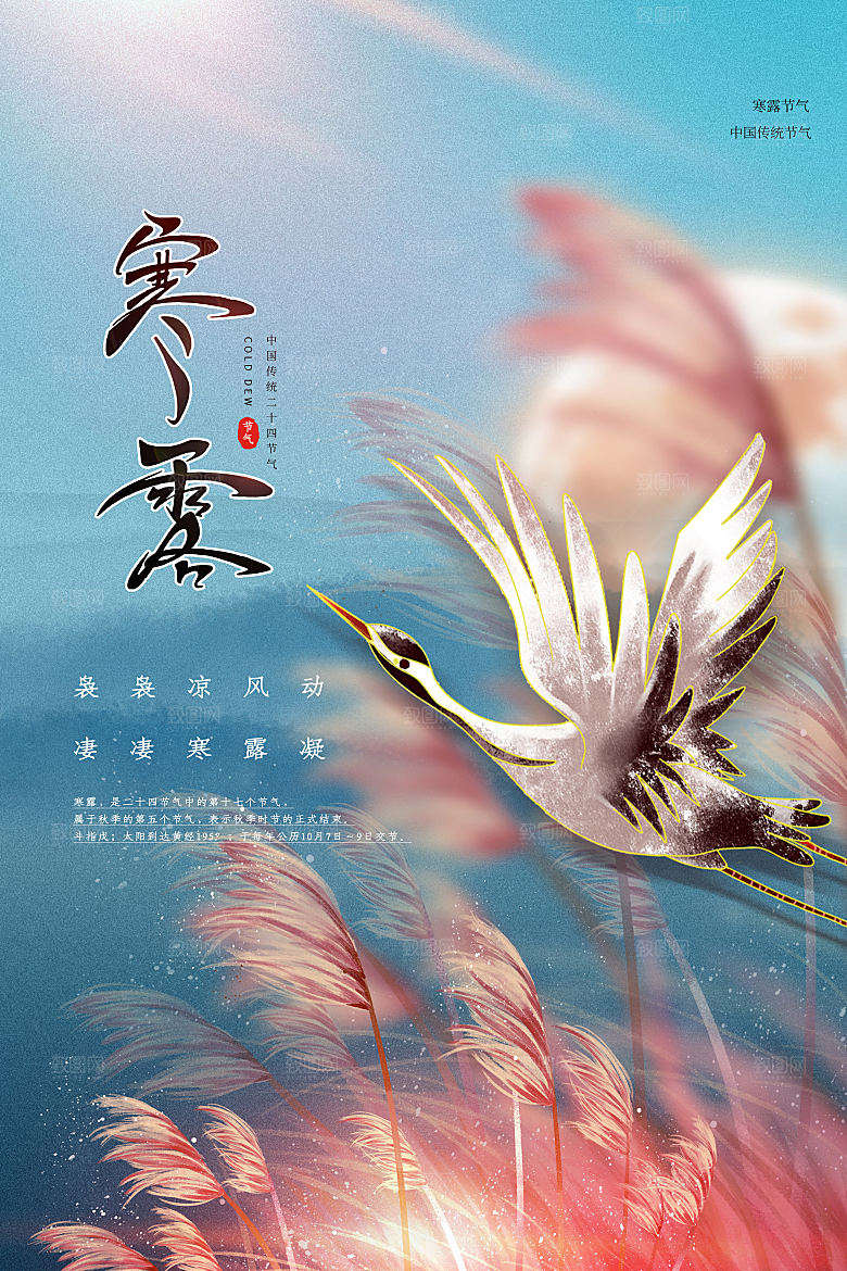 寒露节气平面海报