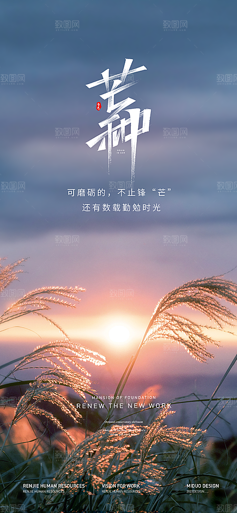 芒种节气海报单图
