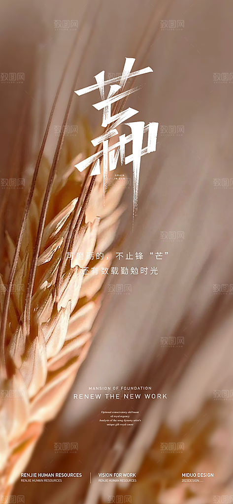 芒种节气海报单图