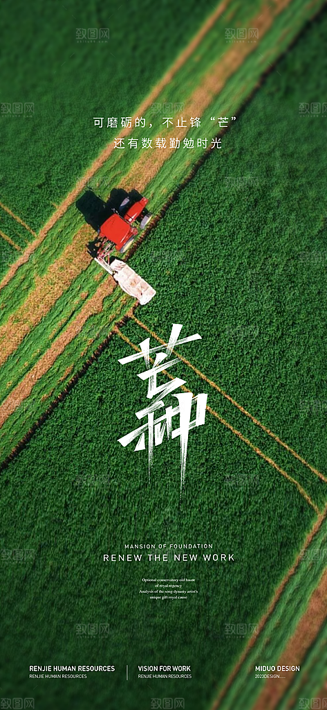 芒种节气海报单图