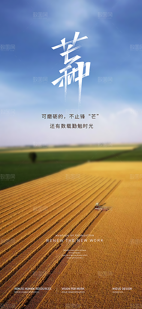 芒种节气海报单图