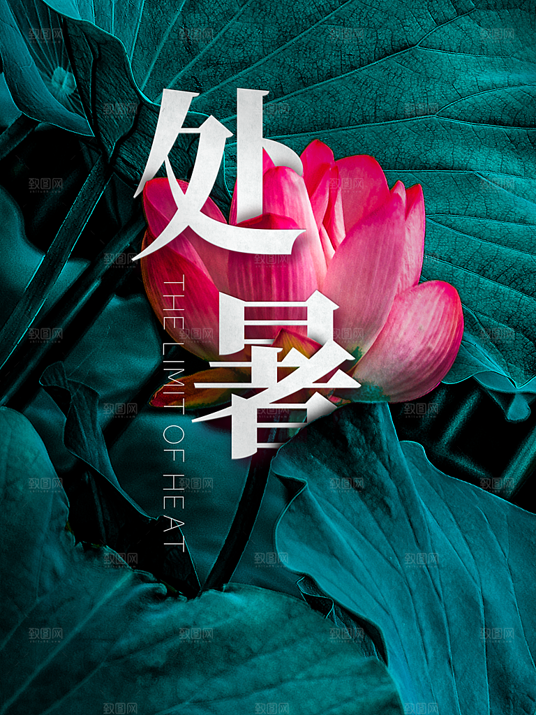 处暑节气简约大气插画海报