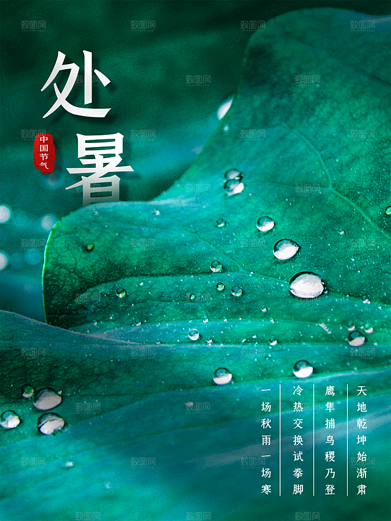 处暑节气简约大气插画海报