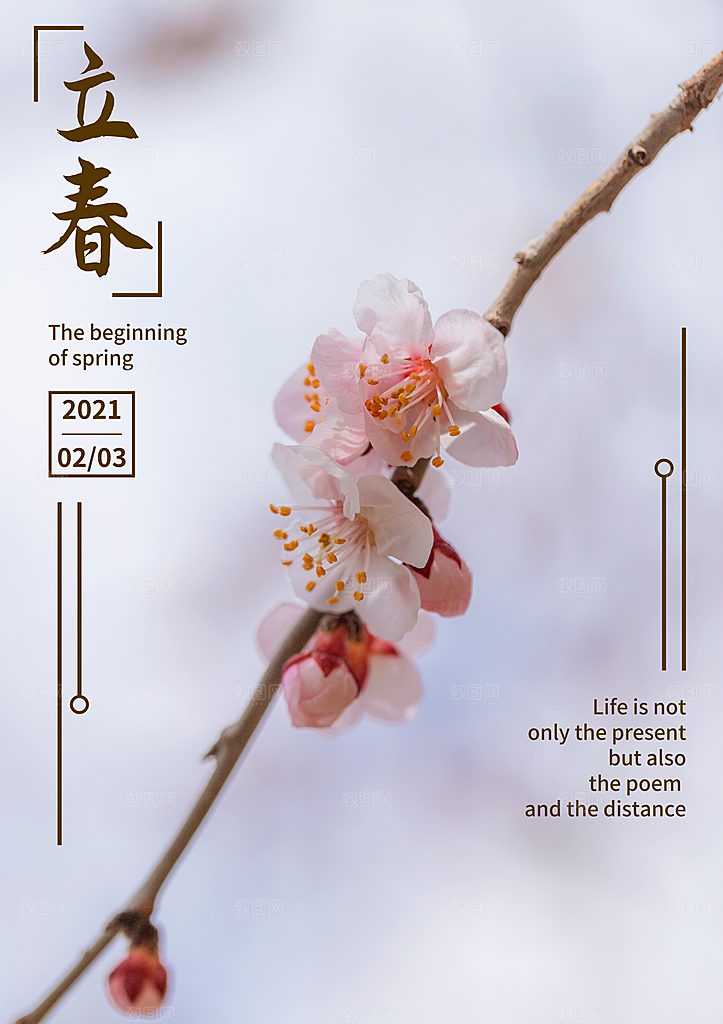 24节气立春海报