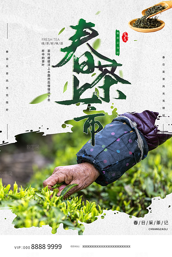 春茶茶叶宣传海报