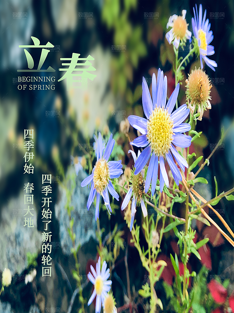 24节气立春海报