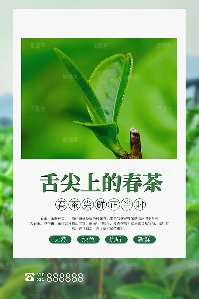 春茶茶叶宣传海报