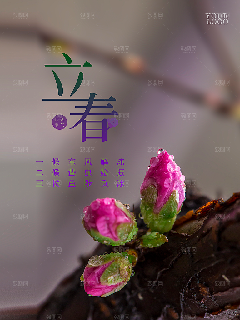 24节气立春海报