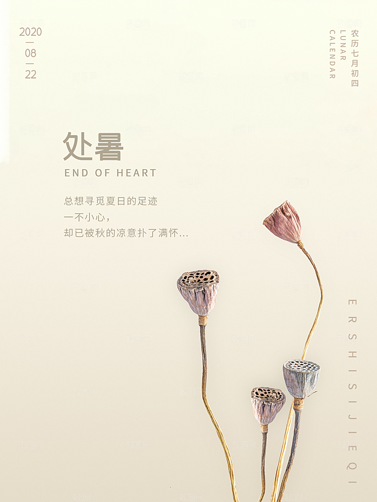 处暑节气简约大气插画海报