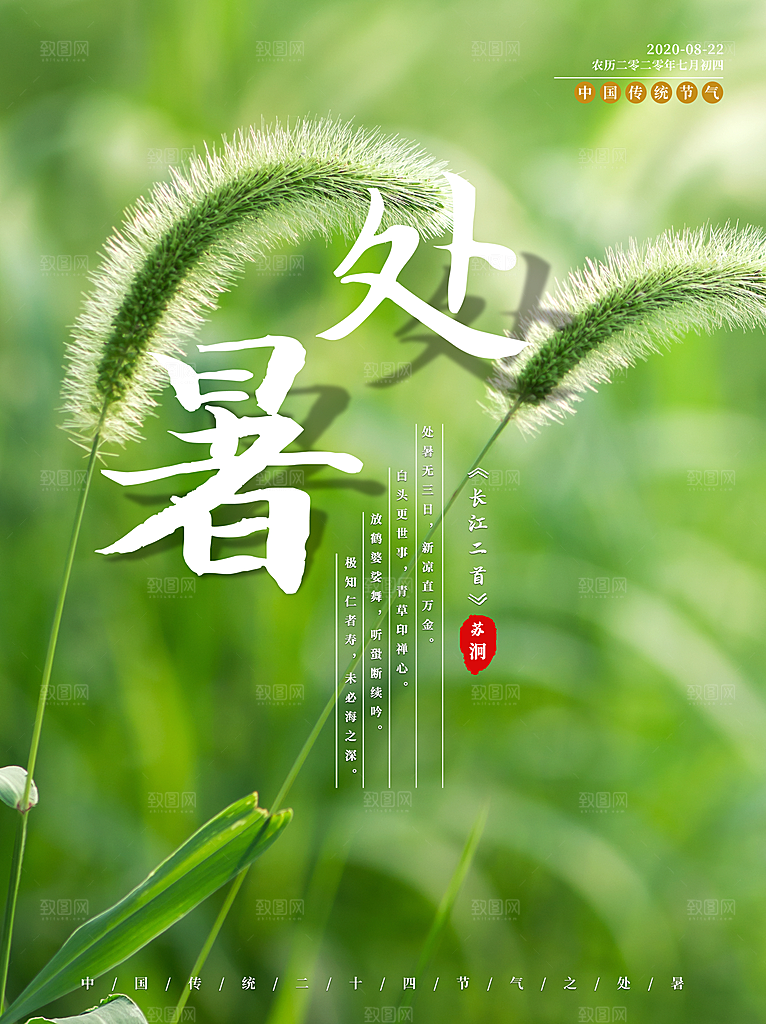 处暑节气简约大气插画海报